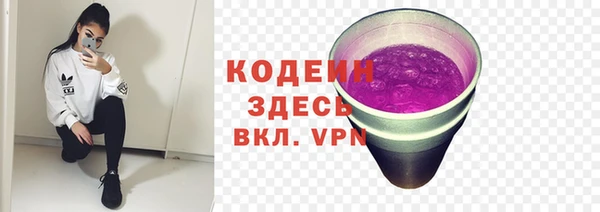 2c-b Заводоуковск