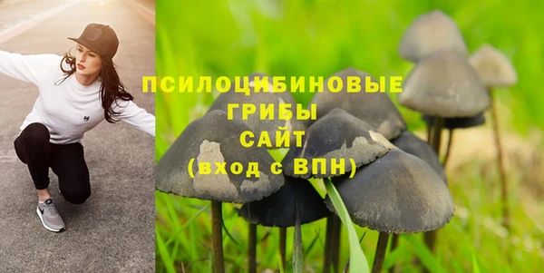 эйфоретик Зерноград